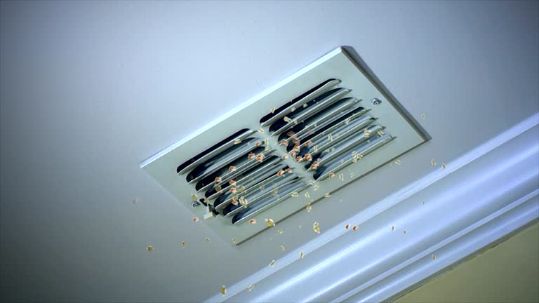 Best Affordable HVAC Duct Cleaning  in Prescott Valley, AZ
