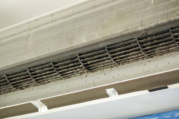 Best Commercial Air Duct Cleaning  in Prescott Valley, AZ
